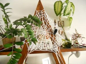 spiderweb