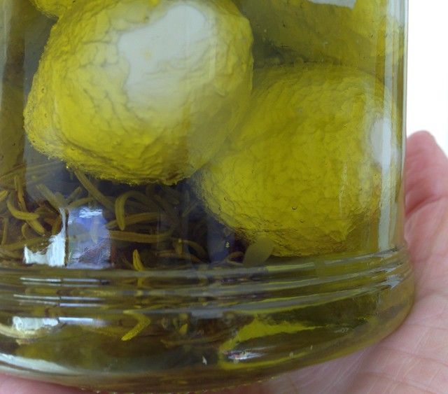 jocoque o labneh casero en aceite