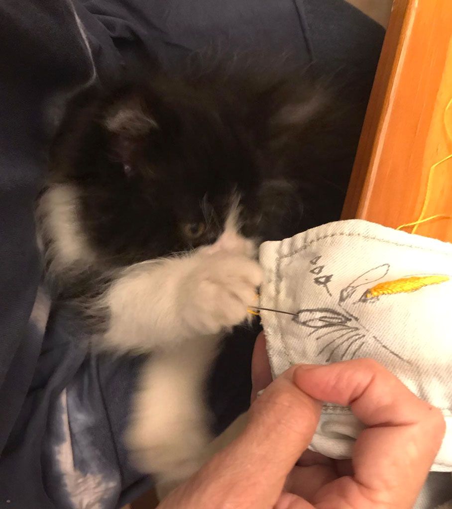gatito y bordado
