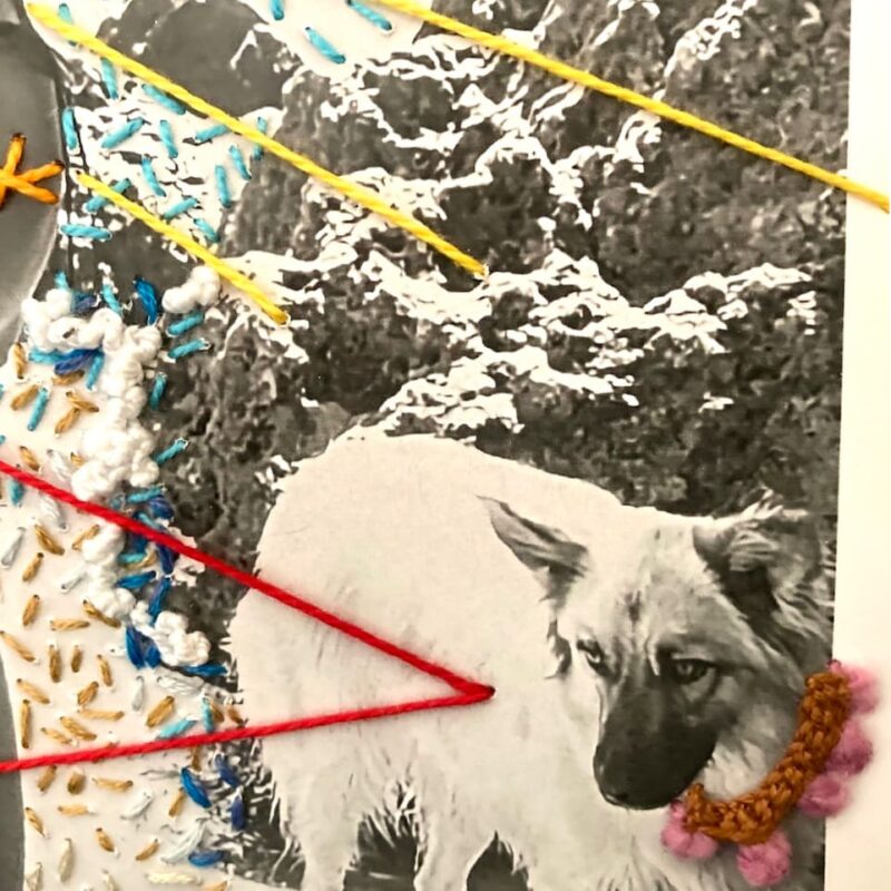 detalle del fotobordado del perrito en playa